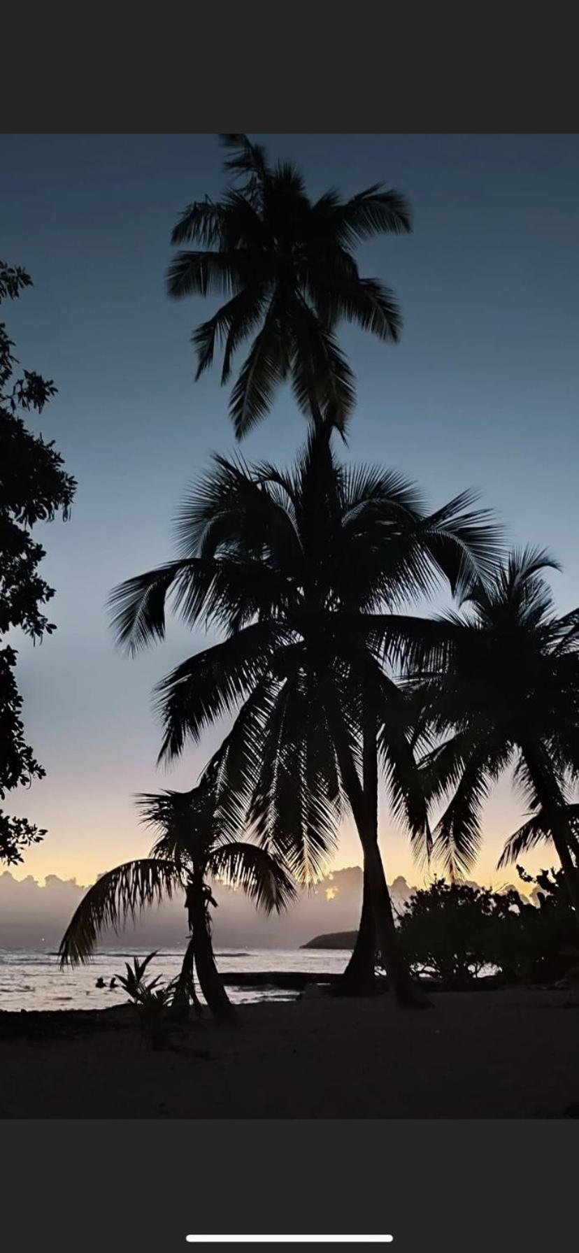 Au Petit Noni Apartment Le Gosier  Luaran gambar